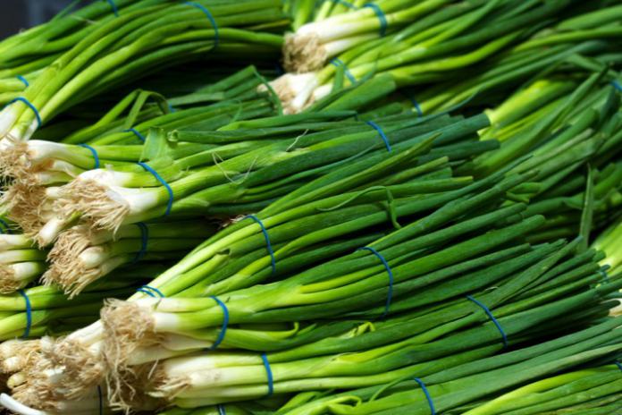 what is a scallion