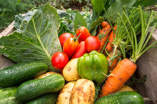 Get Healthy and Save Money by Food Gardening