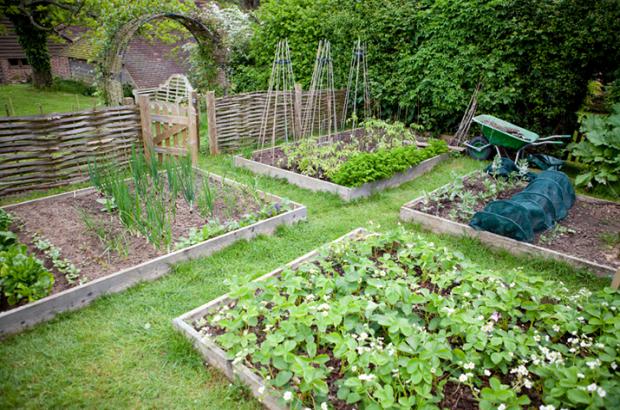 How to Build a Raised Bed
