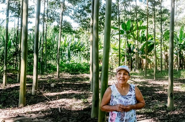 Female farmer in sustainable tropical forest in Peru