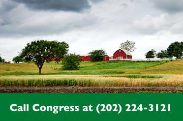 Call Congress at 202-224-3121